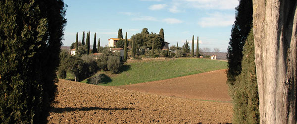 MaremmaWine-Maremma+Wine+Route+-Flavors,+Aromas+and+Charm-