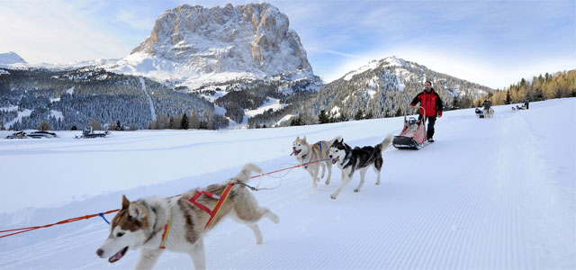 Dog sledding in the Val Gardena, northern Italy. Photo fromvalgardena.it