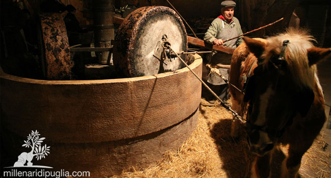 Ancient olive oil mill - image by Millenari di Puglia