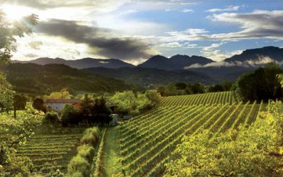 Private Tours in the land of Prosecco