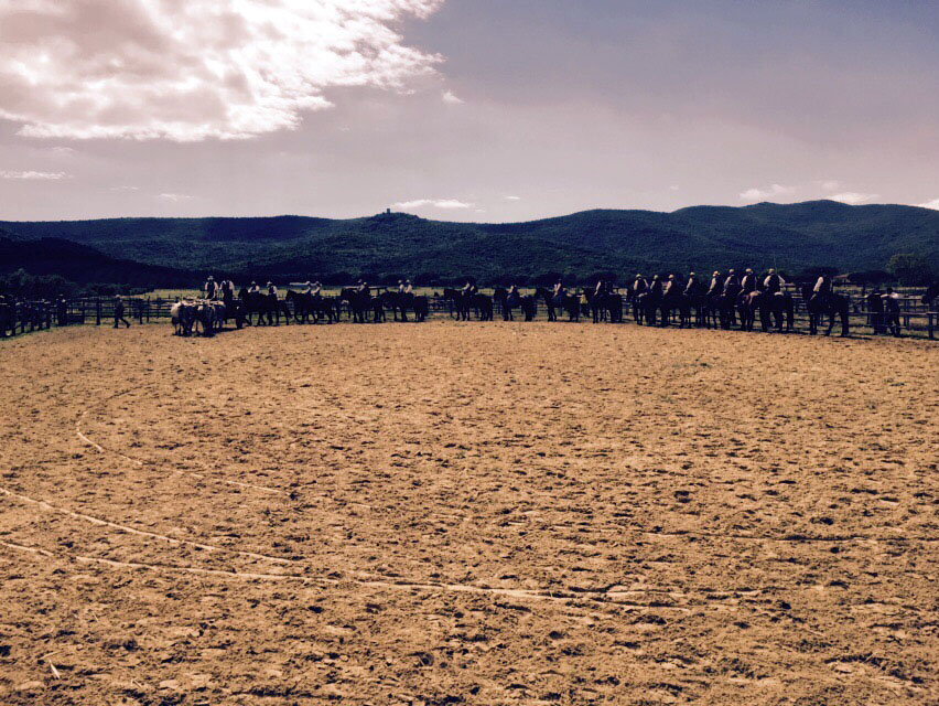 Maremma Butteri Cowboys