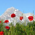 Abruzzo's beautiful natural landscape