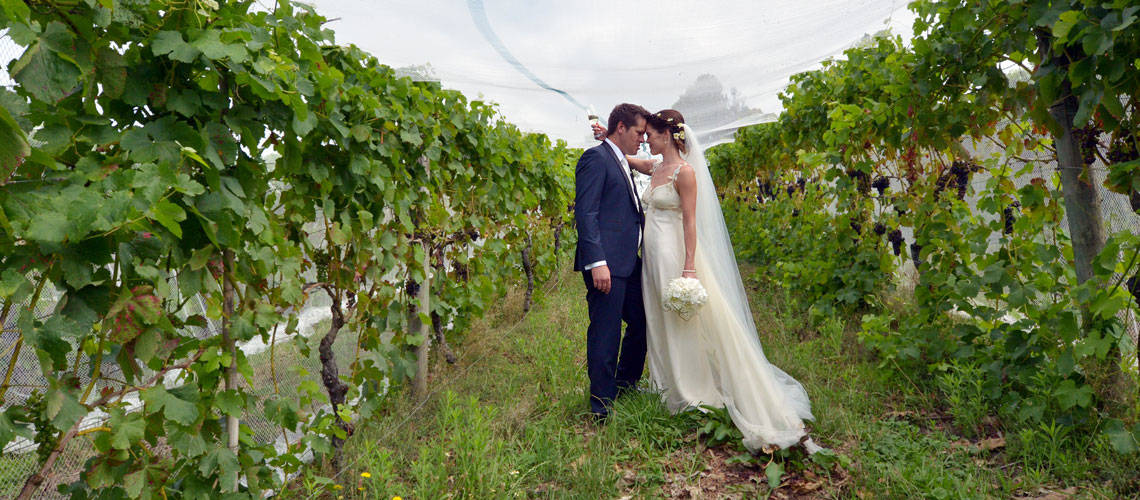 Fall Destination Wedding in Italy, between grape & olive harvests