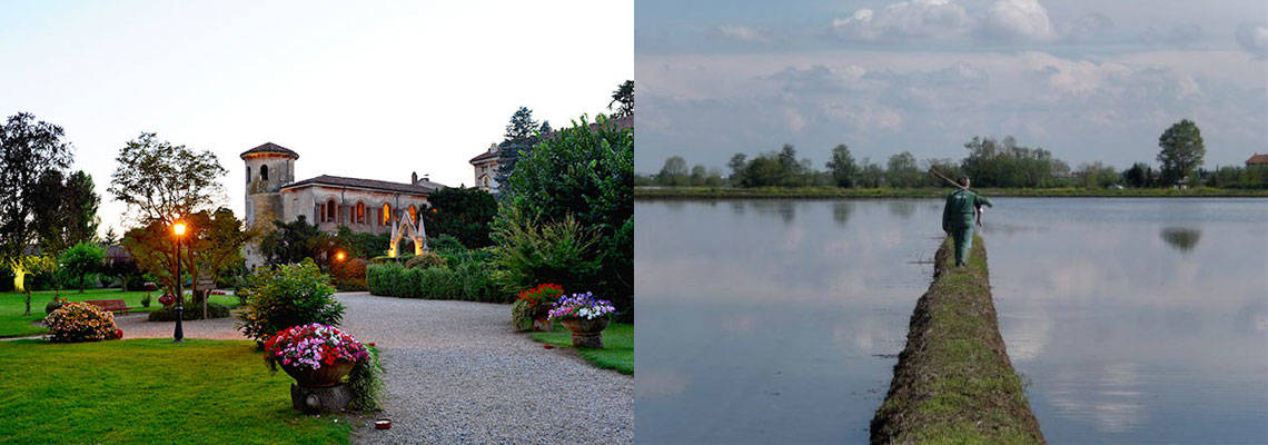 Foodie Experiences in Piedmont: Tenuta Castello