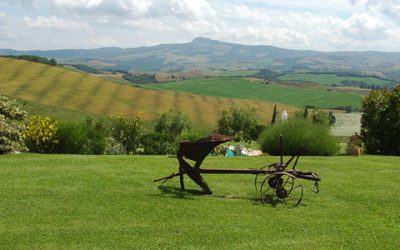 Private Tours off the beaten path in Tuscany: Colle Val d’Elsa and Val d’Orcia