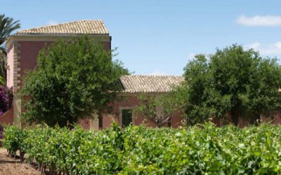 Striving for sustainable tourism: practices and projects