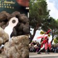 Fall Food Festivals & Experiences: Italy’s Sagre, off the beaten path