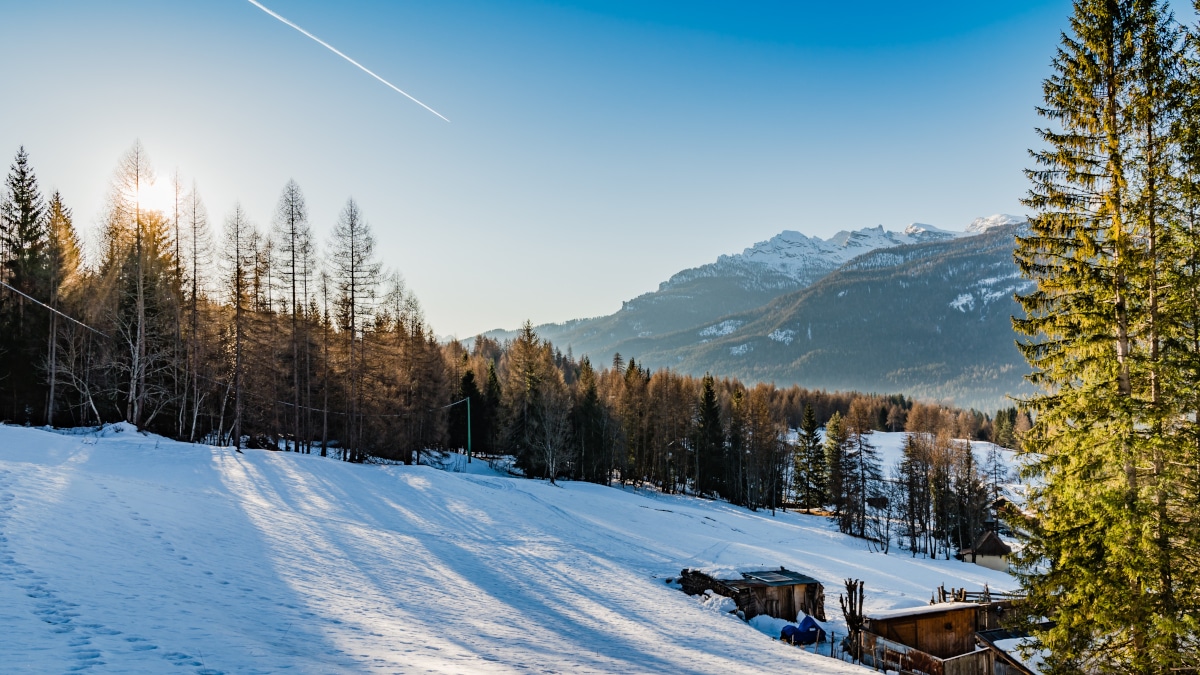 Foto di Duc Tinh Ngo da Pixabay