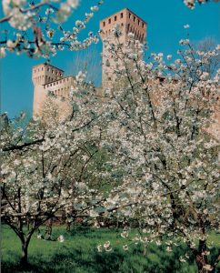 dmc italy wow factor event