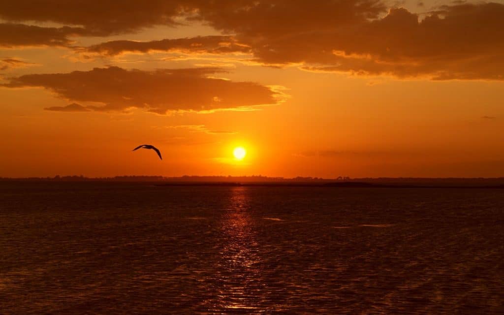 birdwatching teambuilding italy