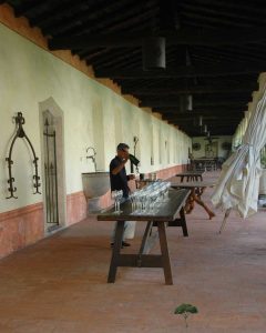 incentive wine tasting italy