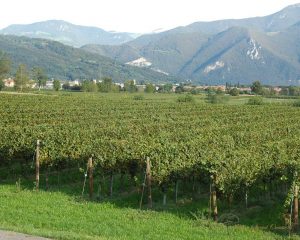 incentive lombardy italy