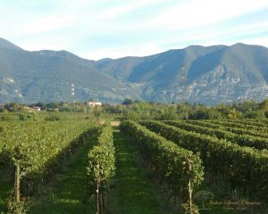 incentive trip lombardy italy