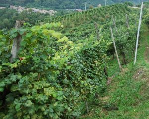 incentive travel veneto