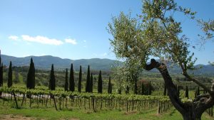 post covid event italy