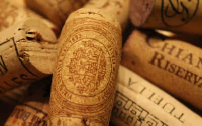 How to plan the best corporate virtual wine tasting? Our insider’s guide