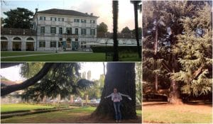 incentive-trip-near-venice-italy