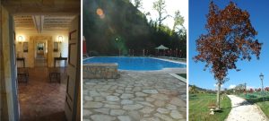 corporate-retreat-that-is-innovative-and-sustainable