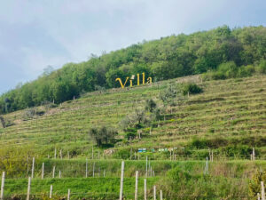 DMC travel diary in italy(1)