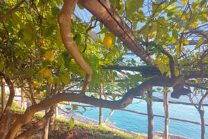 off site meeting in italy