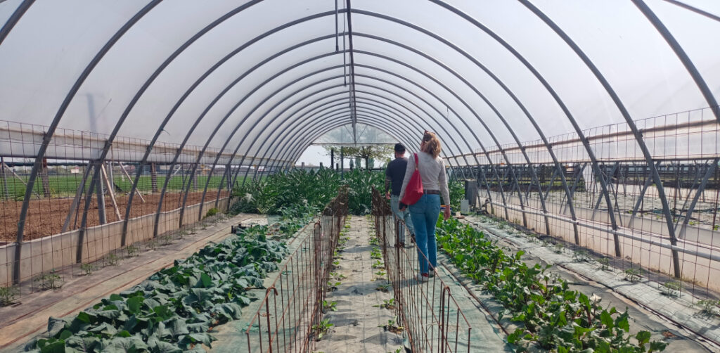 sustainable retreat activity in italian farm