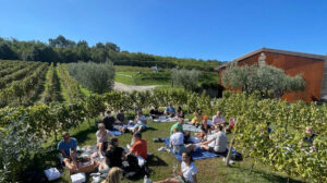 Wine Bike Incentive in Franciacorta