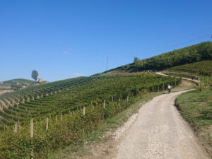 sustainable incentrive trip northern italy.