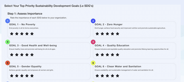materiality exercise with a special tool under a BEFuture Project