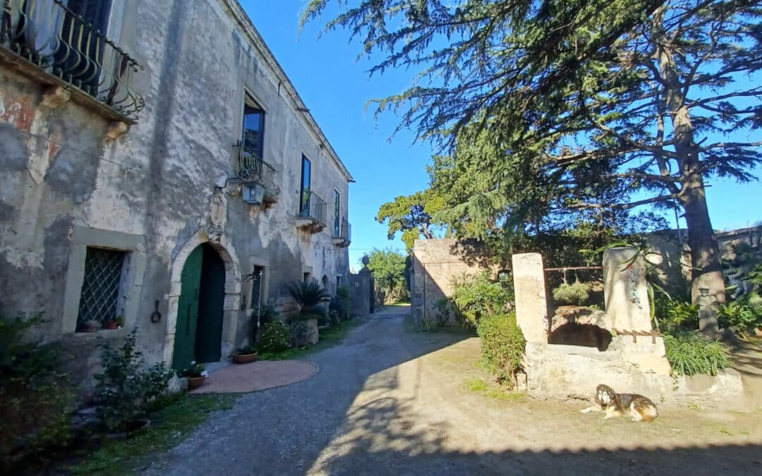 Magical and Discreet Place in Sicily for Private Events: Feudo San Pietro