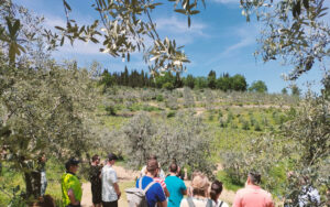 when not to plan incentive trip to italy